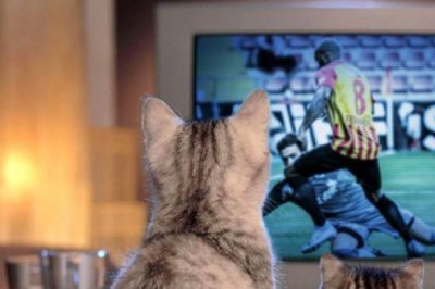 Futbol Ekranı - 16 Eylül 2021 Perşembe